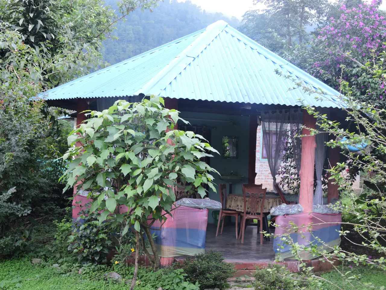 DSCN0361 6973cd93046f9 