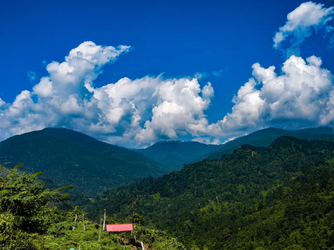 DSCN0634 6973c6eebef3c 