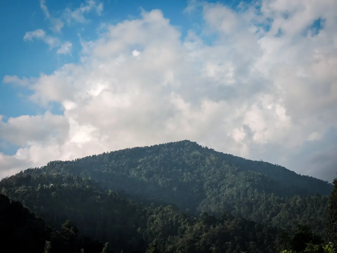 DSCN0725 6973c8dd13027 