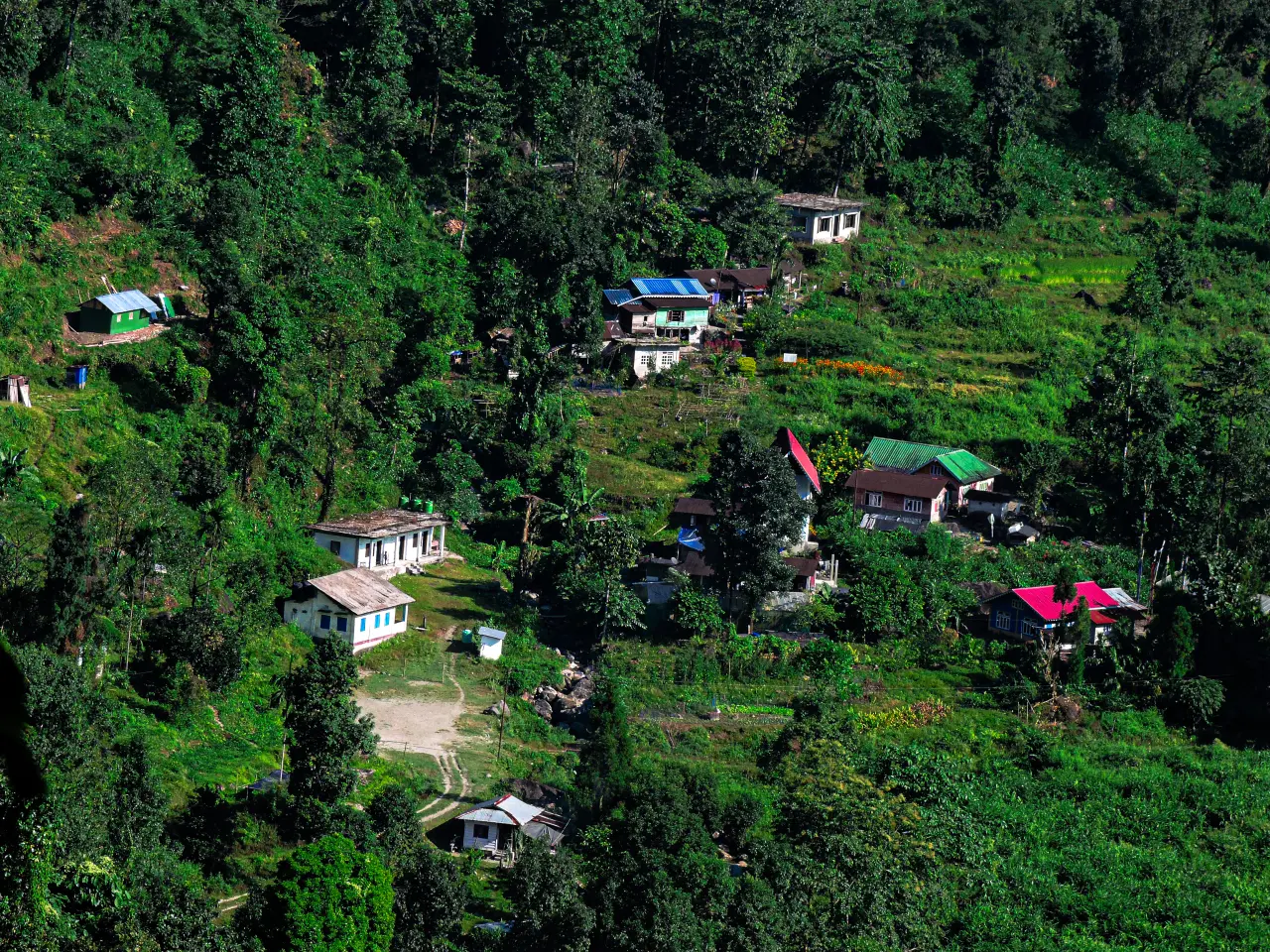 DSCN0819 6973c8dd70b3a 