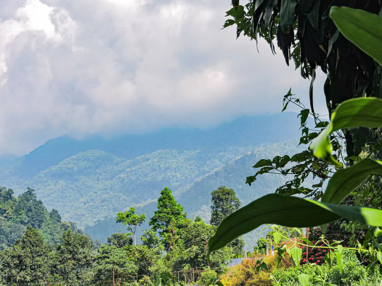 DSCN0915 6973c8dde5295 