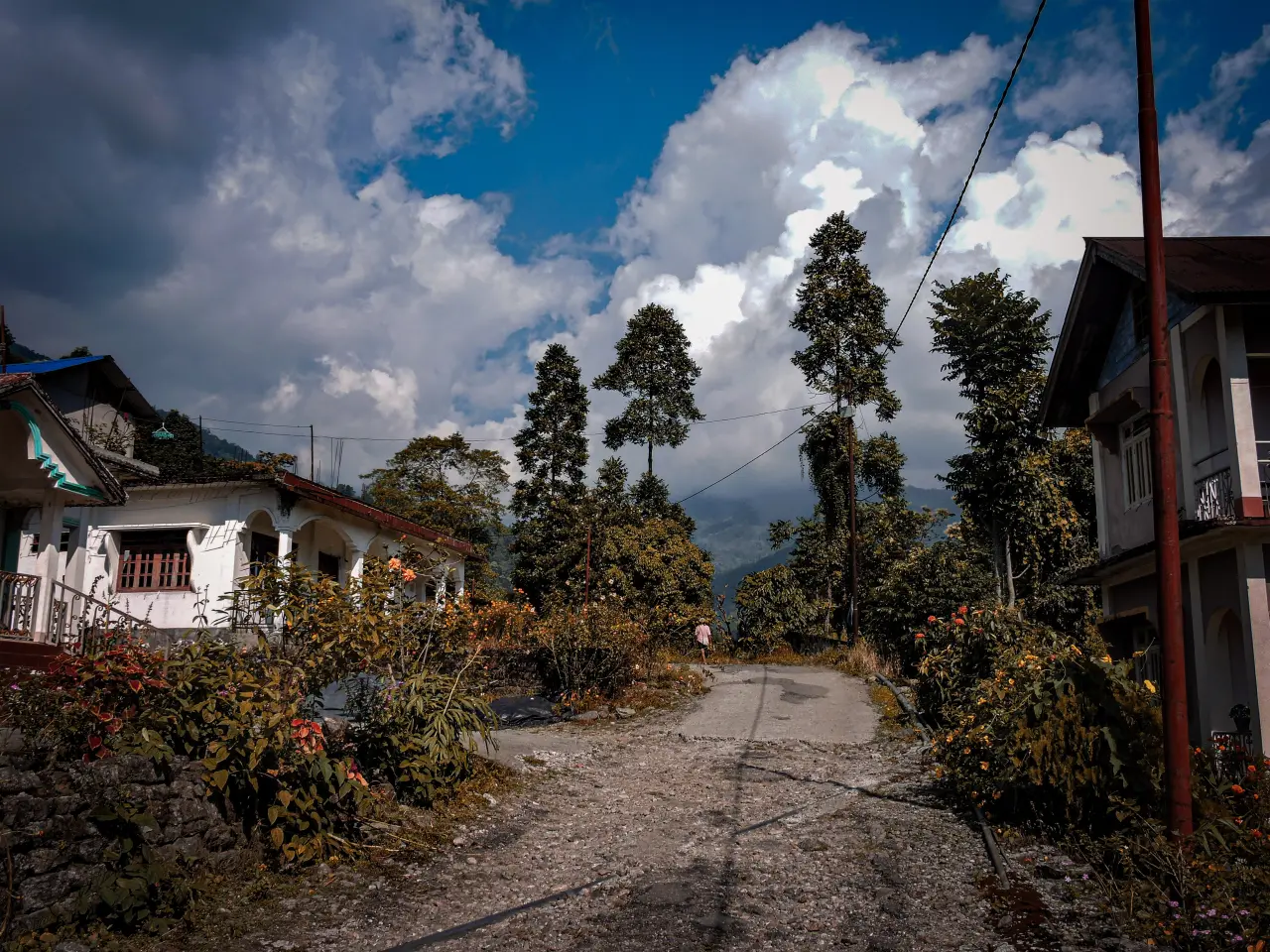 DSCN0934 6973c8de4fdb3 