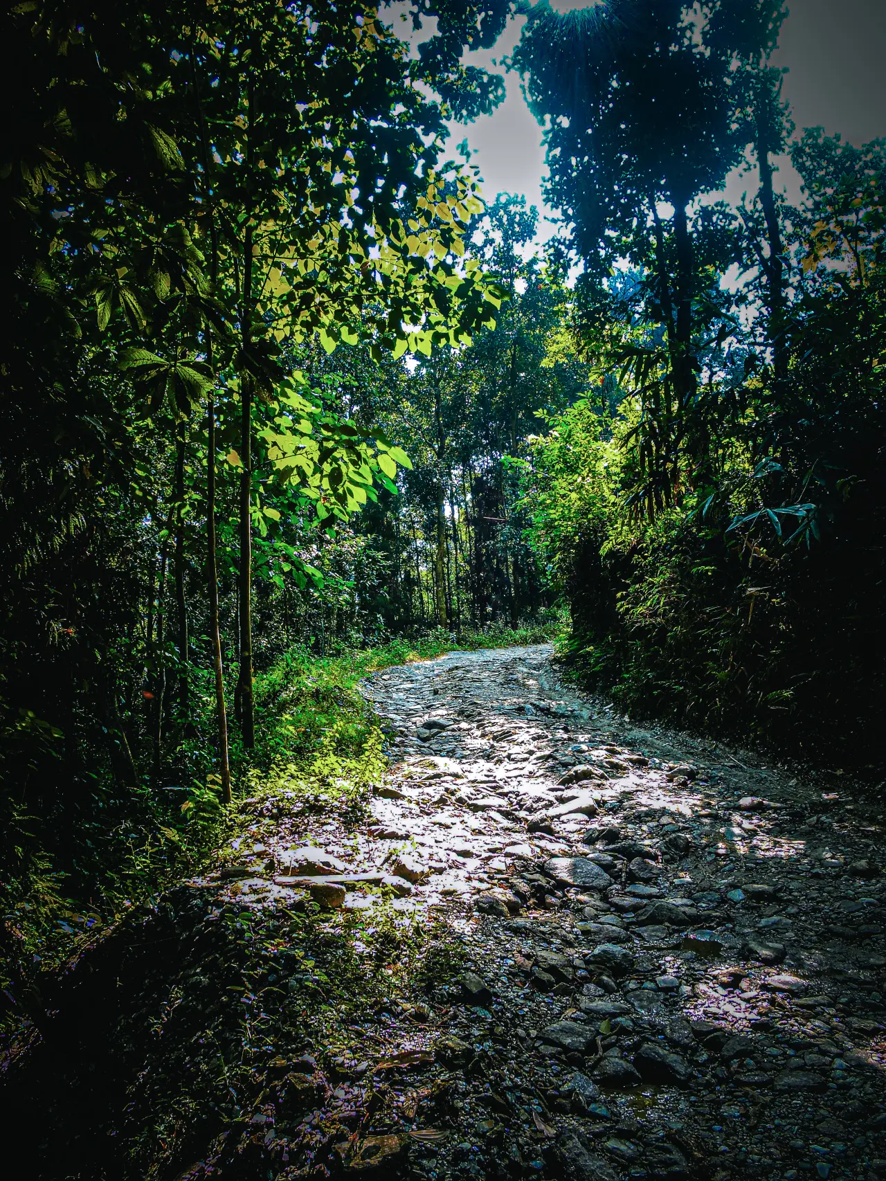 DSCN1065 6973c8df5ff94 