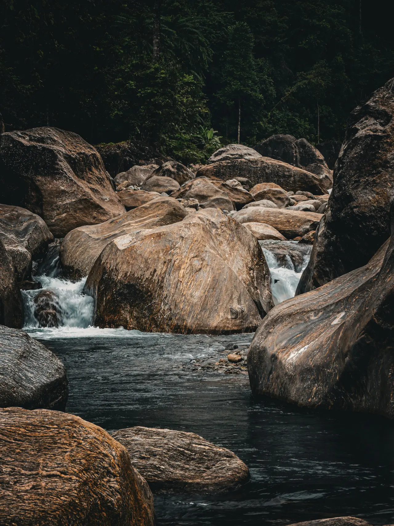 DSCN1085 6973c8dfefce9 